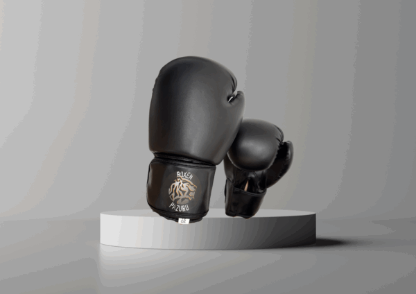 Boxhandschuhe