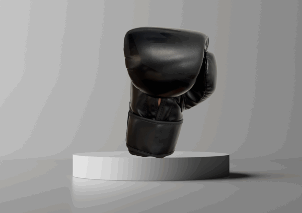 Boxhandschuhe